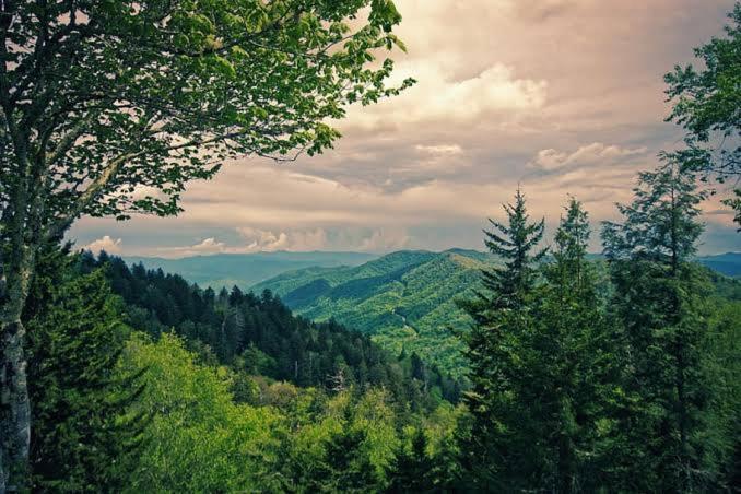 The Nature Dreams I Vacations I Conference I Mice I Family Events I Open Air Terrace I Sky Bonfire I Kufri By Exotic Stays Shimla Exterior photo